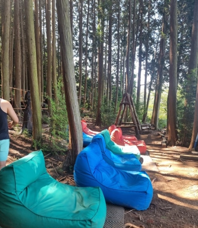 남해-창선도-토피아랜드-토피어리-정원-편백나무숲