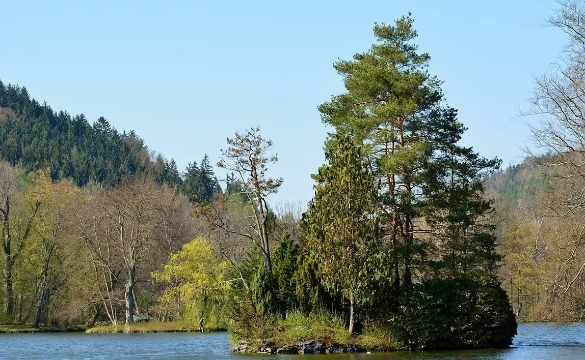 손해평가사 시험일정 시험과목 합격률