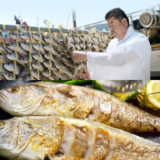 법성포 민어 굴비 8미 특대 굴비선물세트