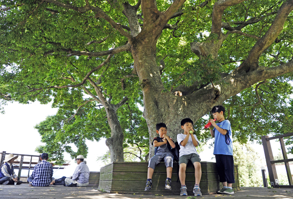 꼭 알아야 할 온열 질환 예방 수칙