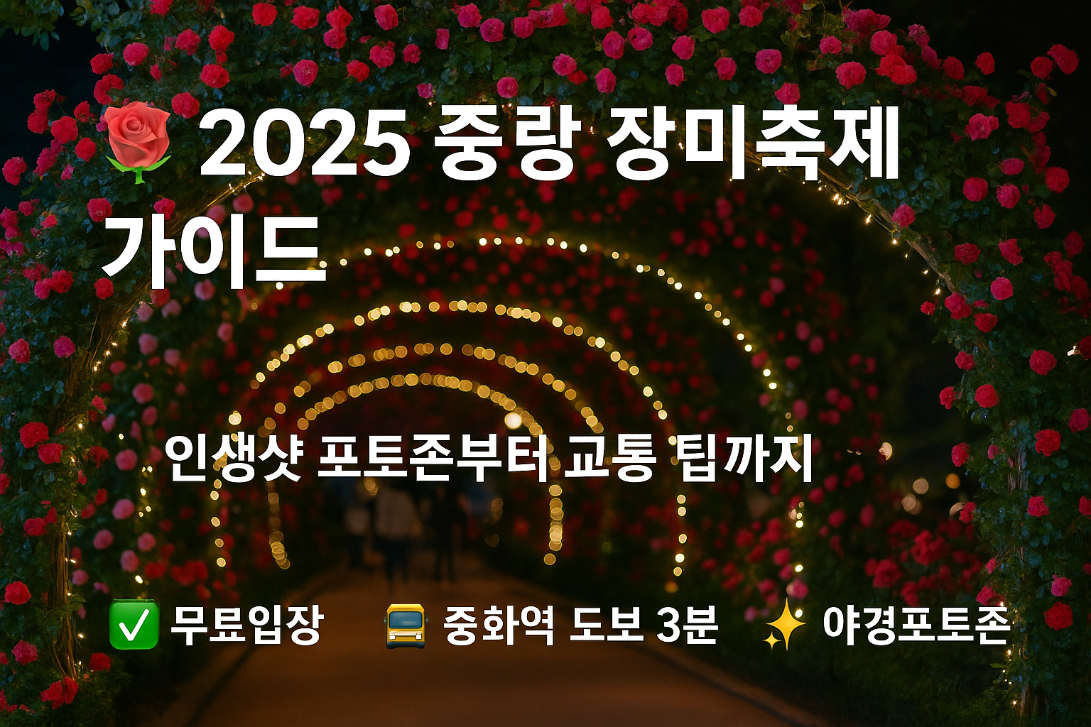 🌹 2025 중랑 장미축제 완전정복 가이드: 데이트·포토존·교통까지 한눈에!