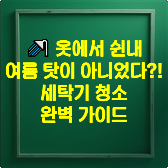 🚿 옷에서 쉰내, 여름 탓이 아니었다?! 세탁조 청소 완벽 가이드