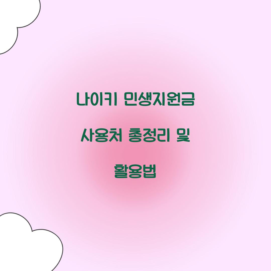 나이키 민생지원금