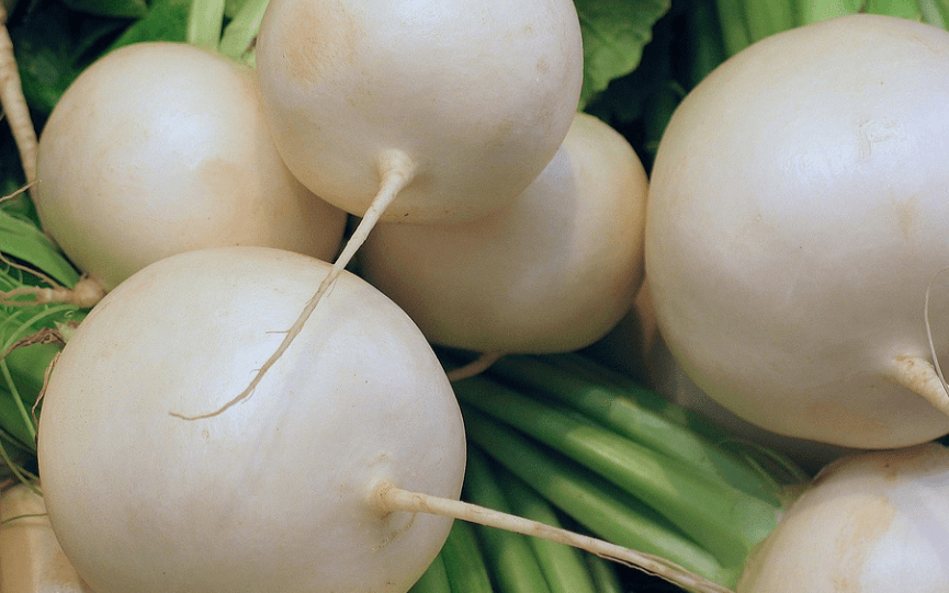 12월 제철 음식 가을 무