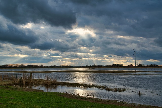 페트리코 Petrichor