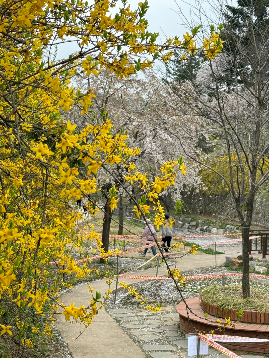 국립현충원
