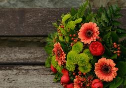 농협카드 분실신고 및 해제