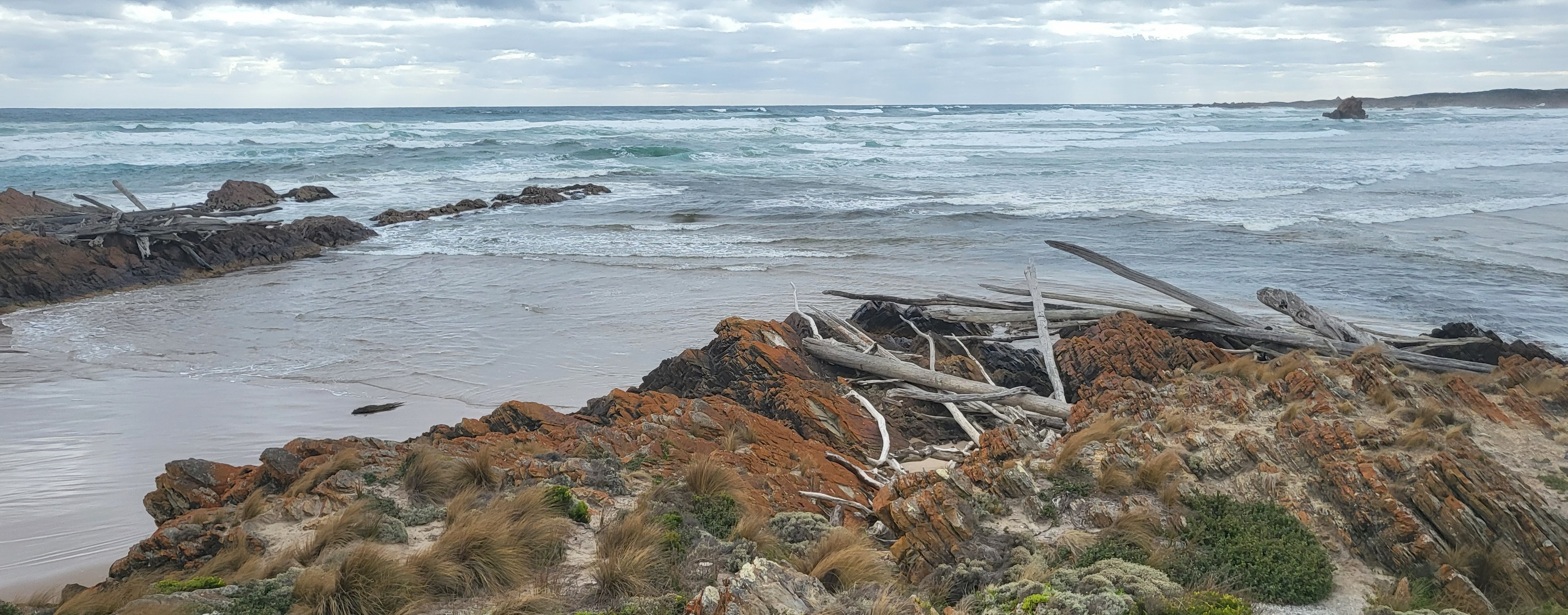 The Edge of the World 의 거대한 유목(Driftwood)