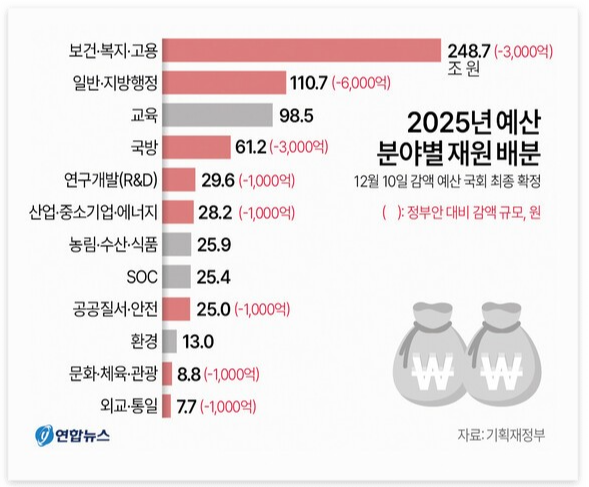 2025년 예산 분야별 재원 배분