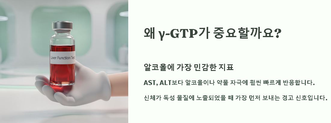 y-gtp 수치란