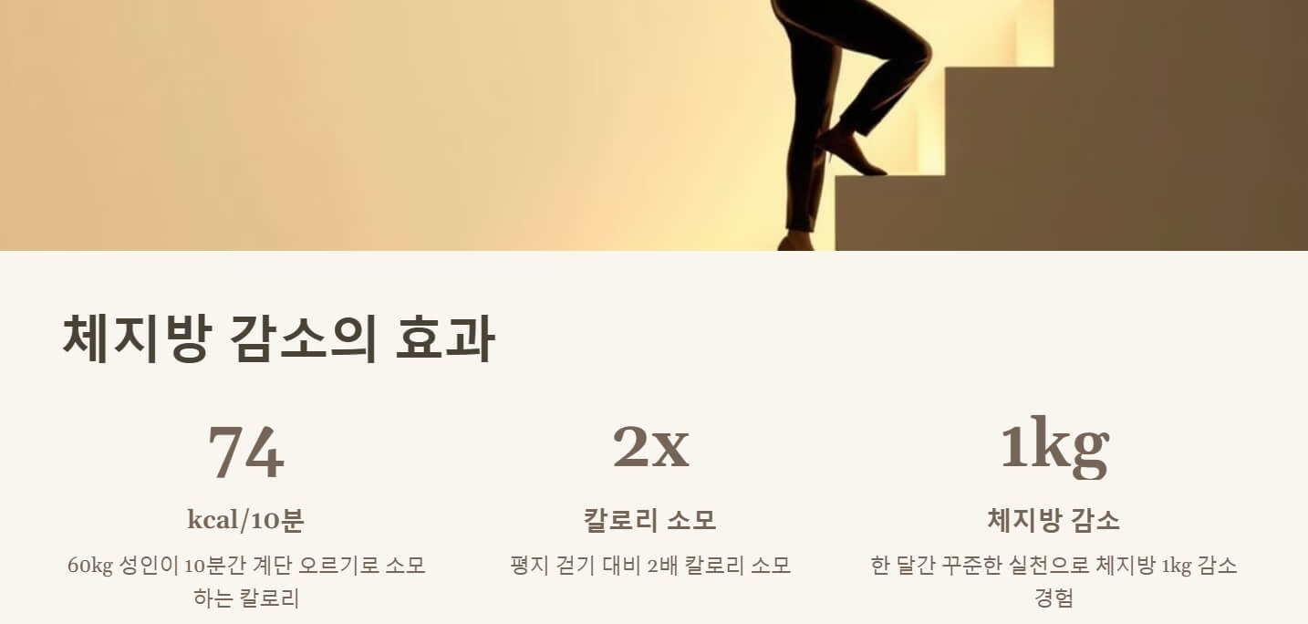 계단오르기 운동효과