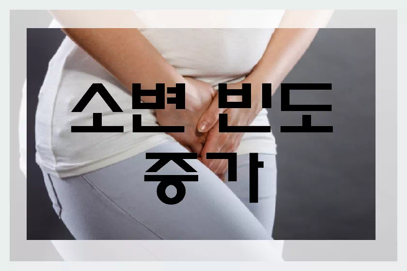 소변빈도 증가