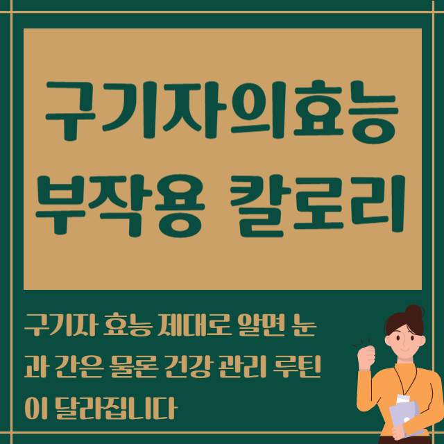 구기자의효능 부작용 칼로리