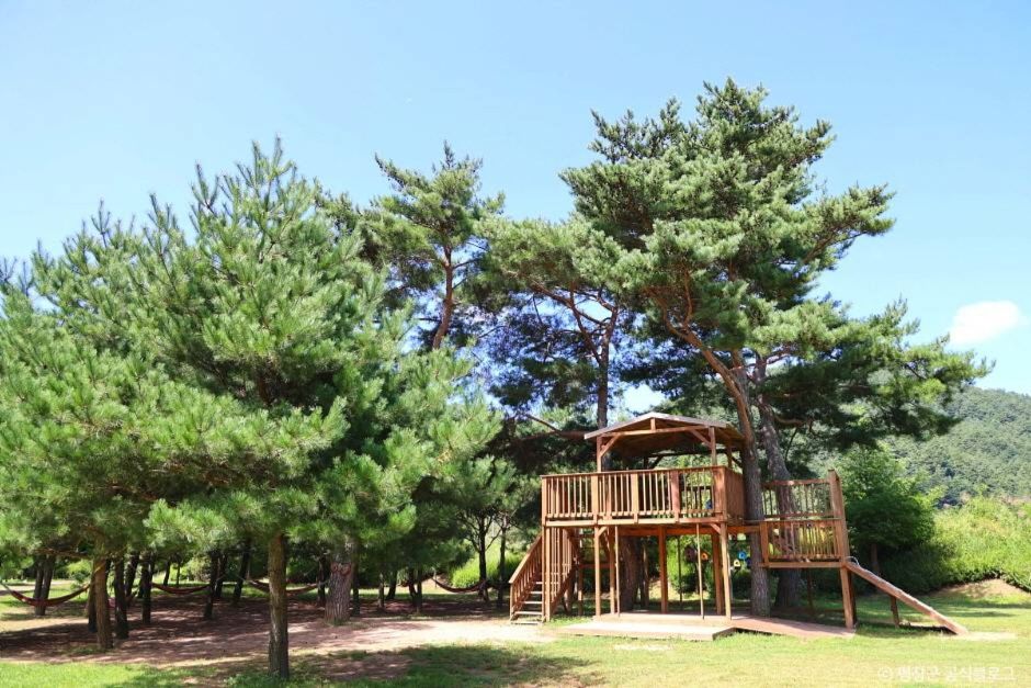 켄싱턴 프렌치가든