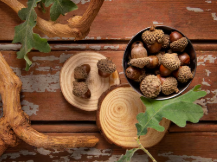 녹용 효능 부작용, 녹용 먹을 때 주의점, 녹용가격