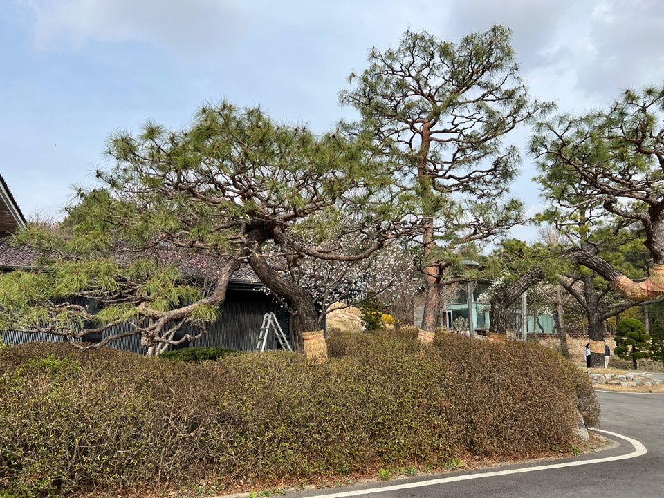 로우 raw 사진 찍는 법, 활용법, 여는 법