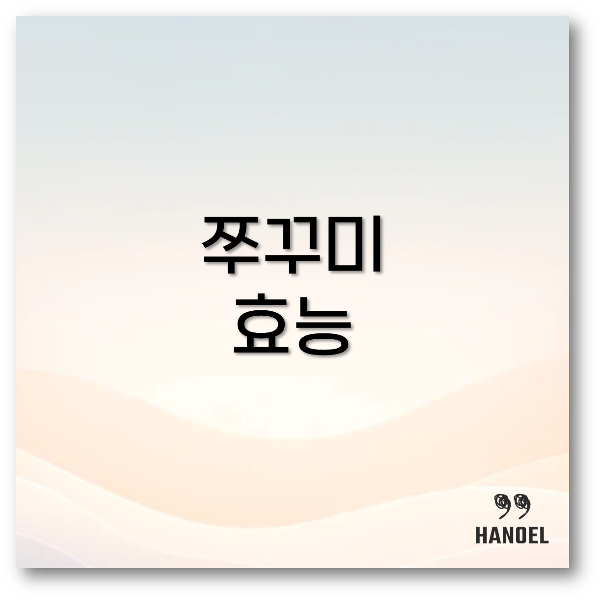 쭈꾸미 효능