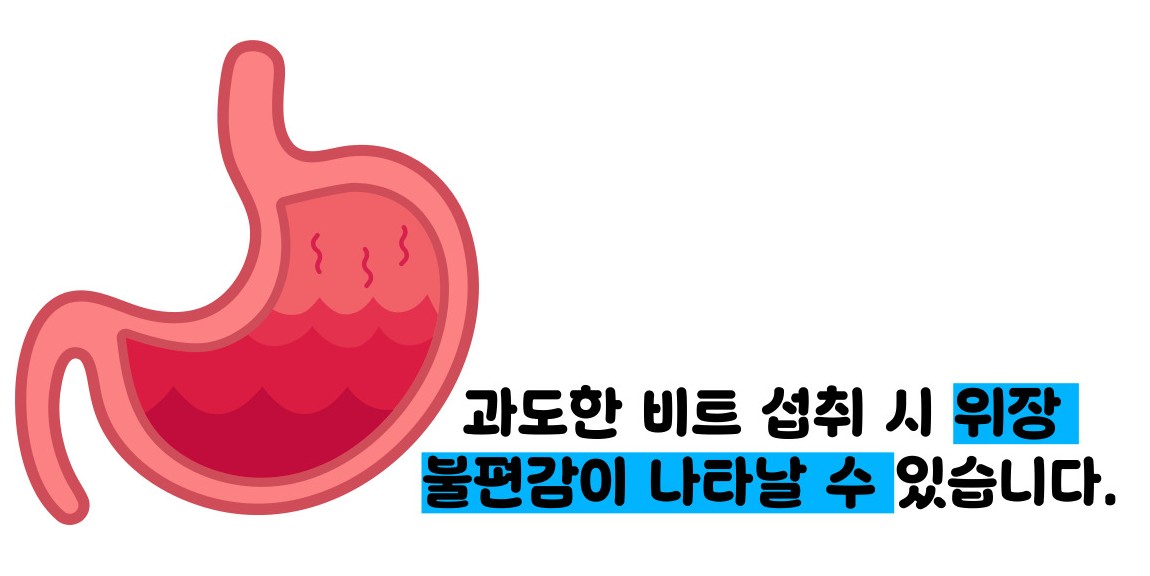 비트 효능 및부작용