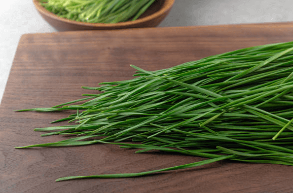 천연피로회복제 부추