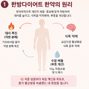 한방다이어트-한약-부작용-비용-후기-저렴한-제품-종류