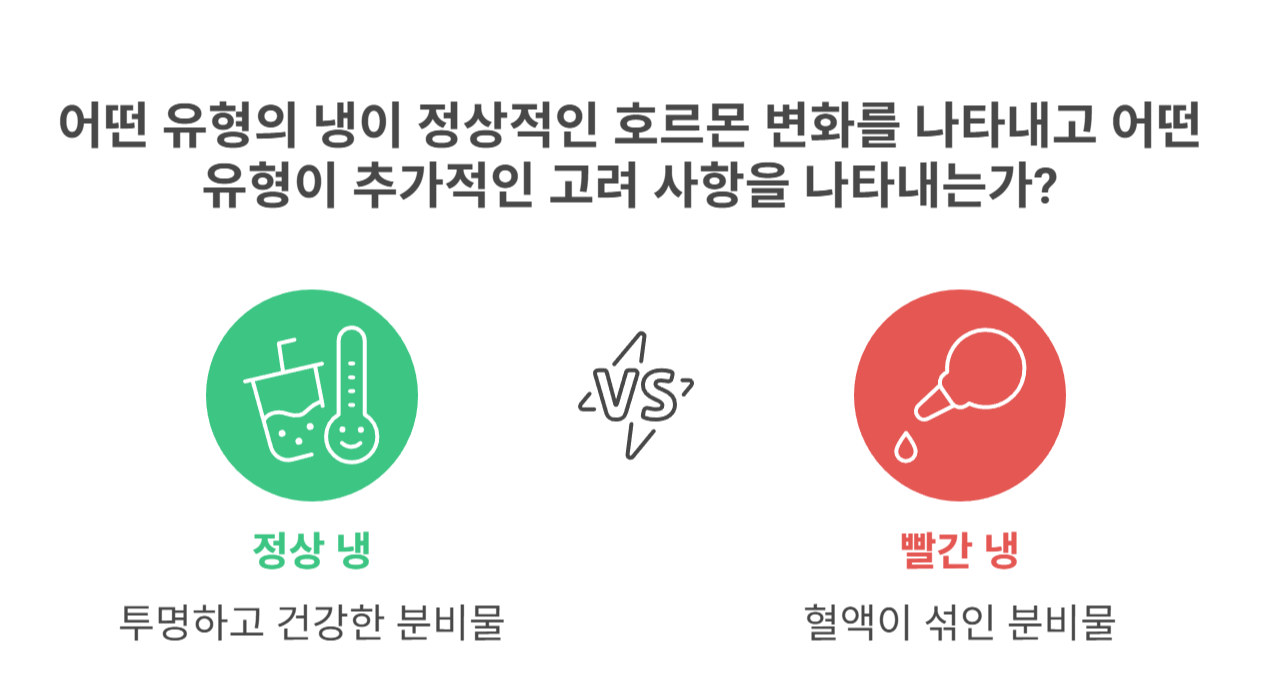 빨간 냉이 생기는 원인과 호르몬 변화
