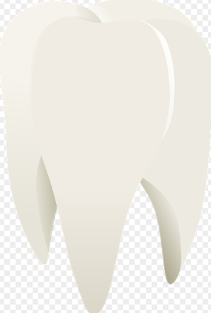 이빨 빠지는 꿈