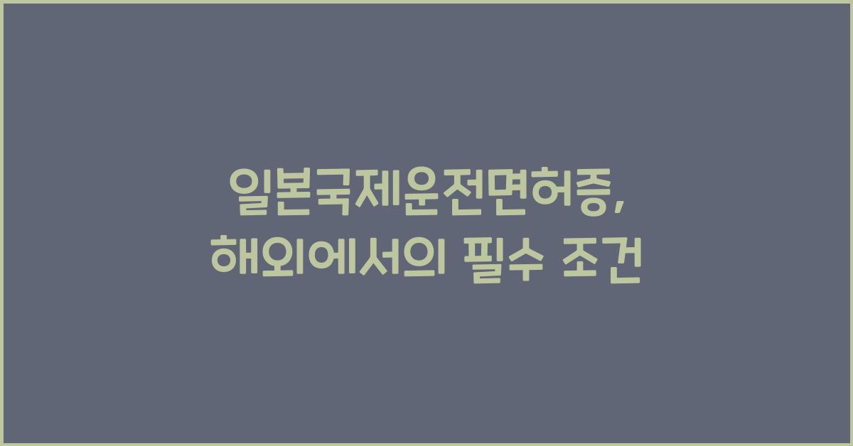 일본국제운전면허증