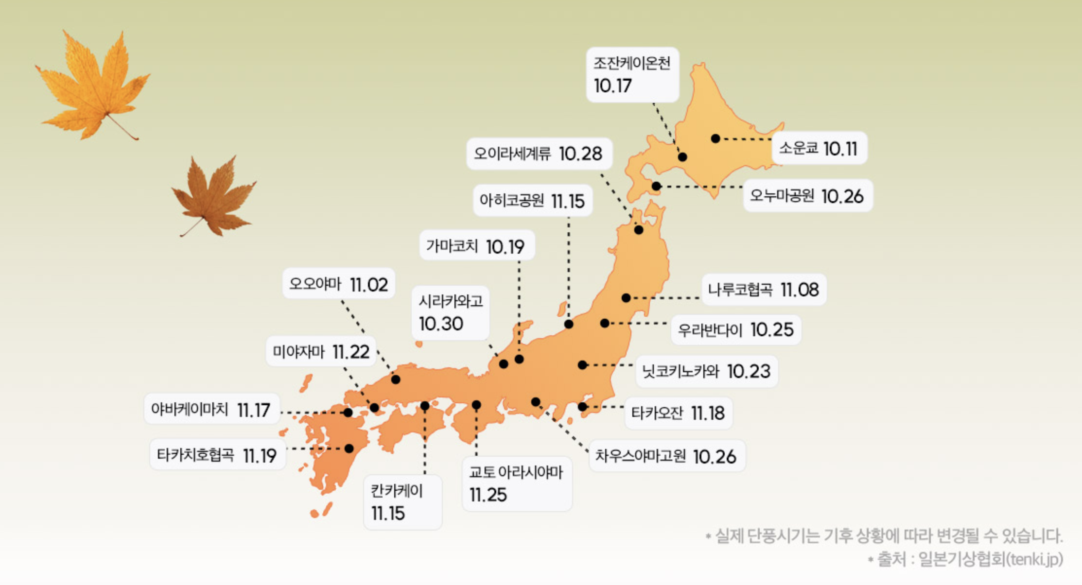 2023 오사카 & 교토 단풍 시기 명소 가볼만한곳 BEST 05