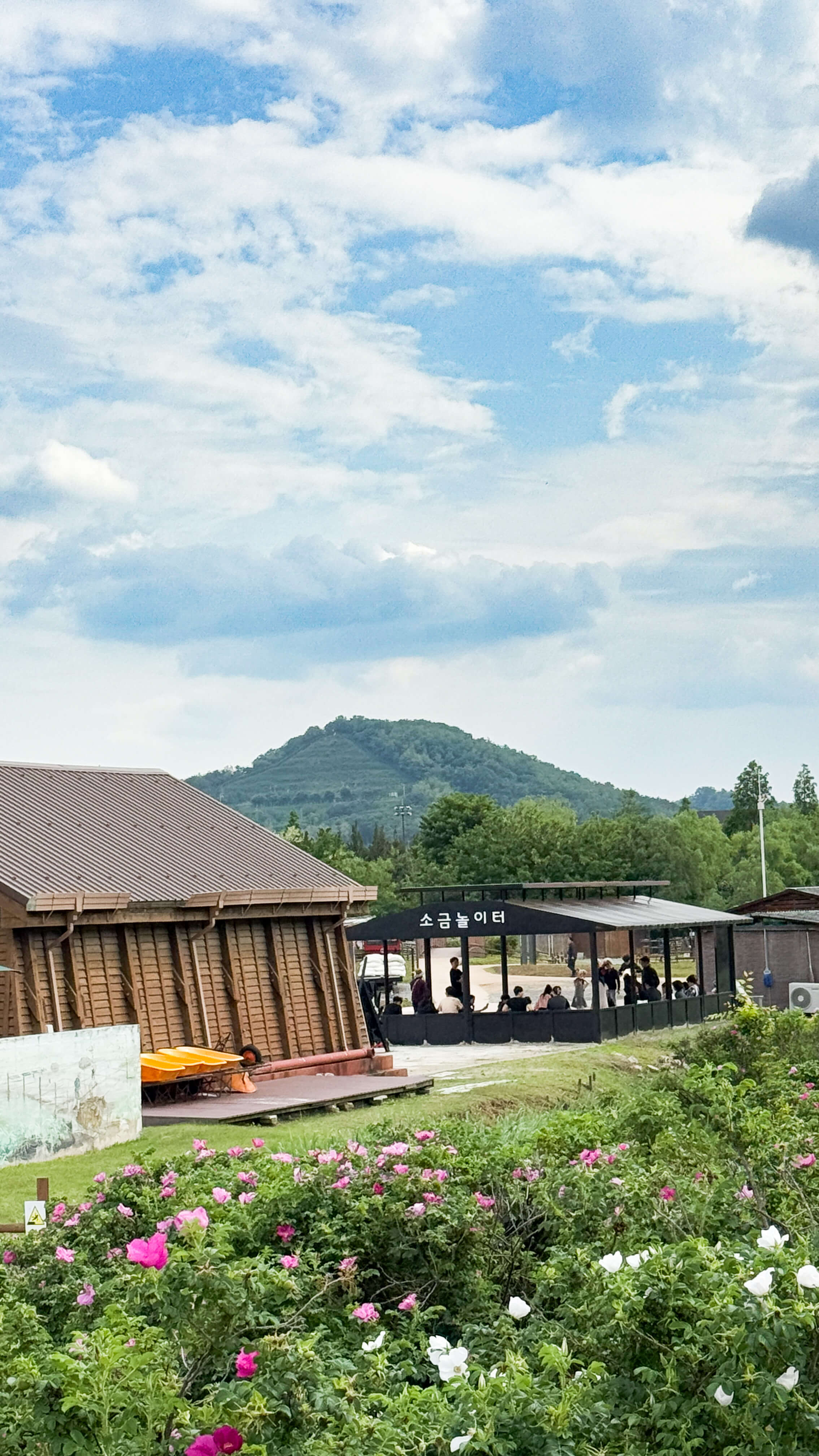 시흥갯골생태공원_피크닉존