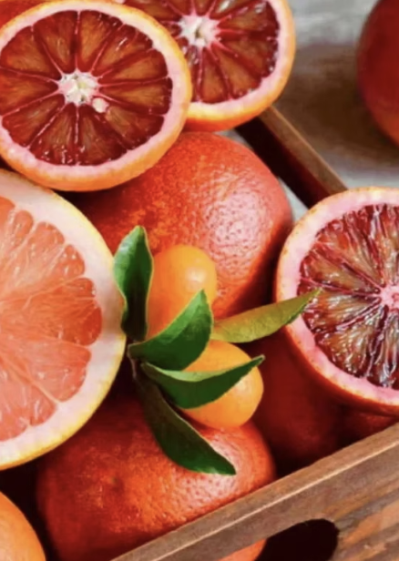 모로오렌지 이미지