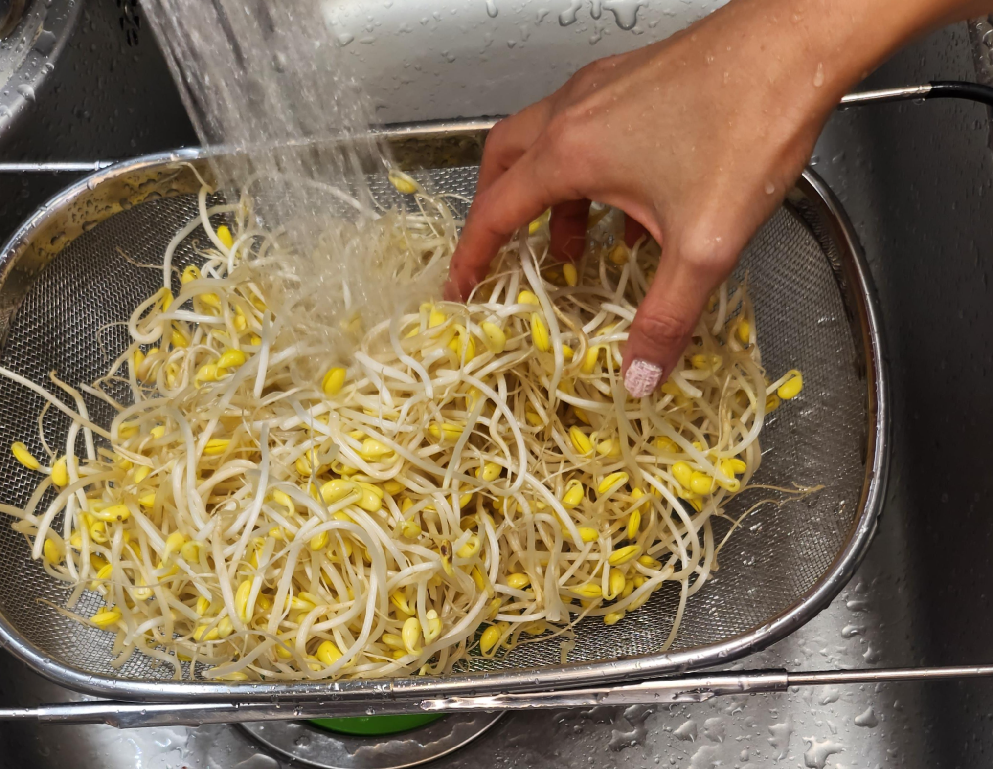 콩나물불고기황금레시피