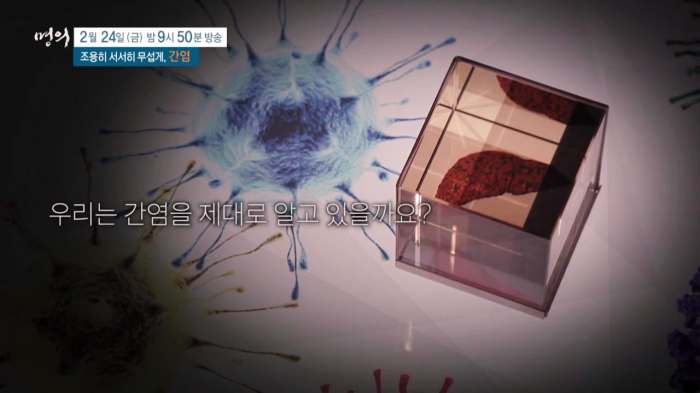 명의 A형 B형 C형 간염 증상 예방접종 원인 전염 항체 검사 비용 방법