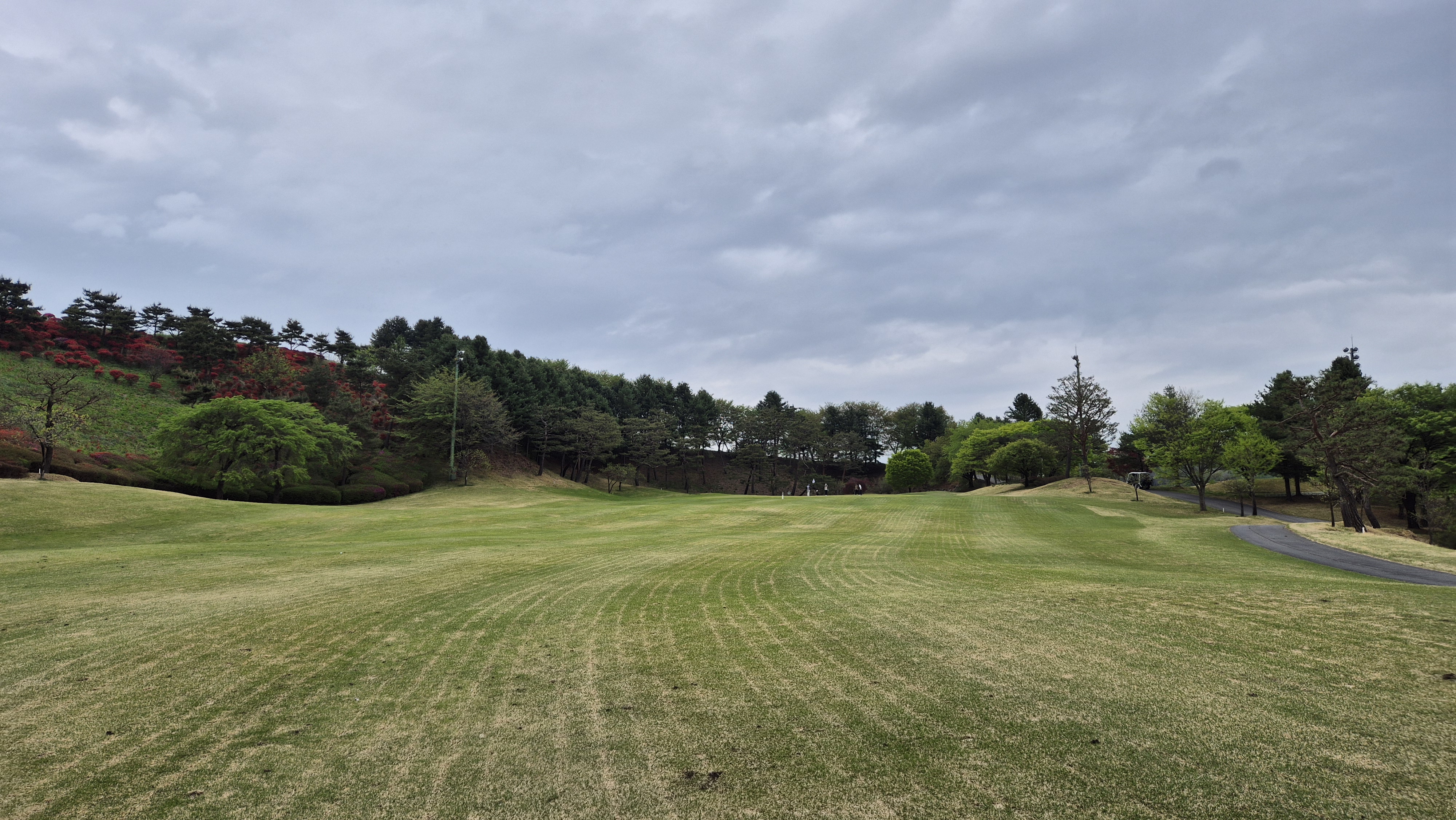 시그너스cc 코튼-라미 코스 사진 및 공략 정보
