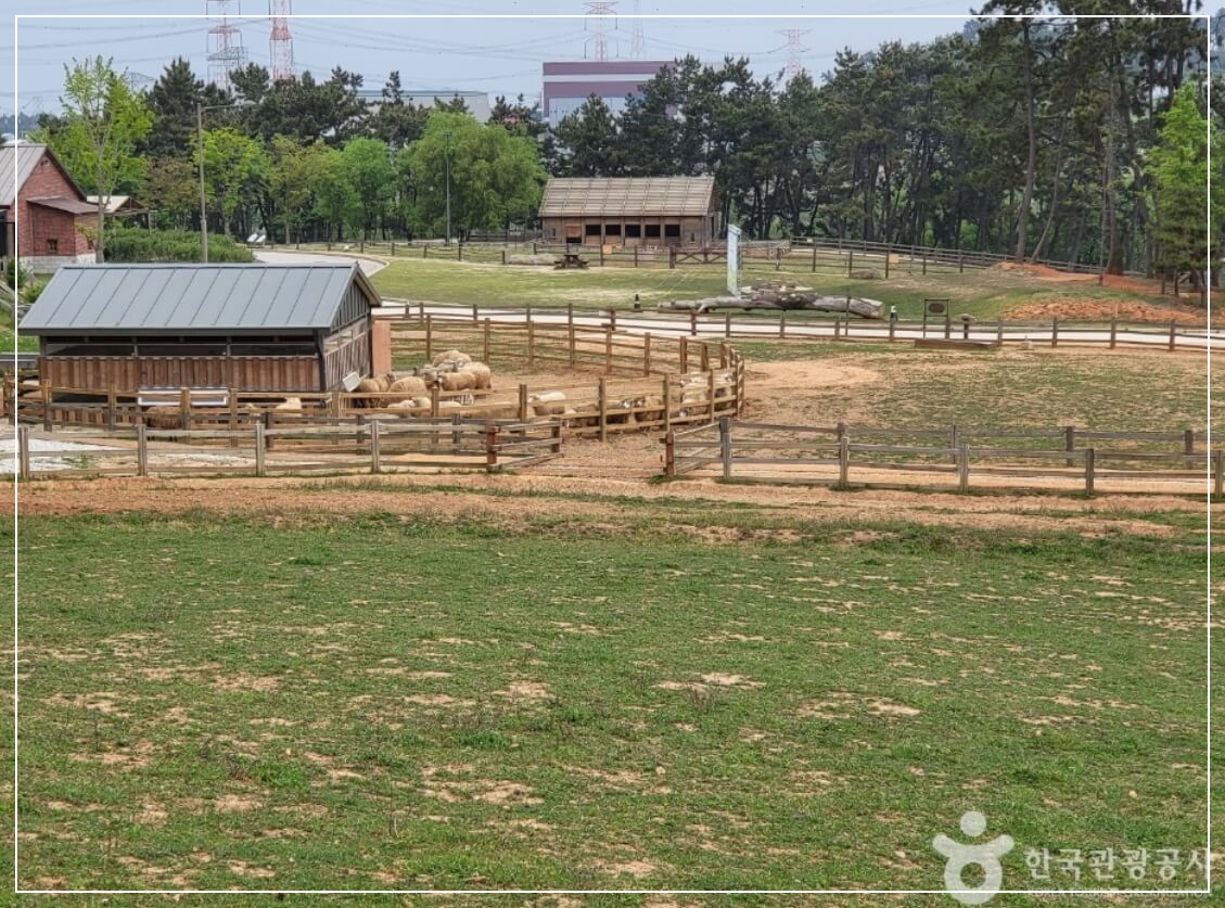 고창 가볼만한곳 베스트10 상하농원