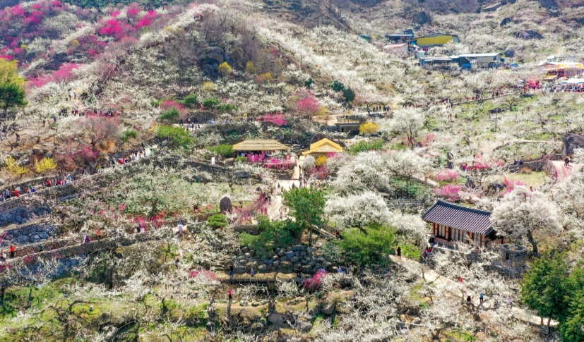 봄 여행지