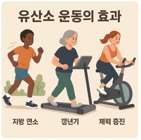유산소 운동하는 이미지
