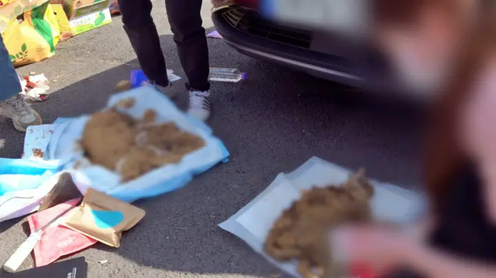 궁금한 이야기 와이 입장 조건은 고양이 학대 영상, 초등학생 두 아들을 살해한 엄마