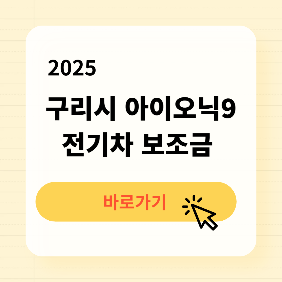 구리시 아이오닉9 전기차 보조금