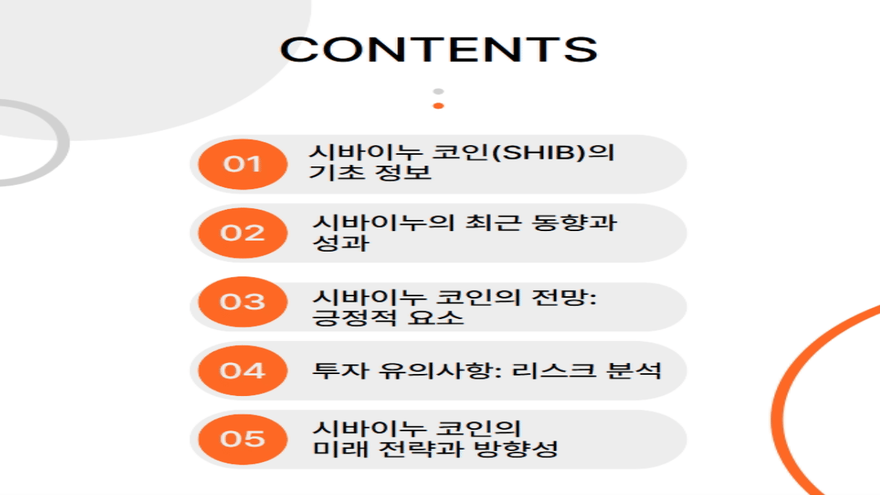 시바이누 코인의 전망