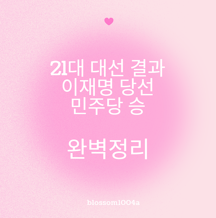 21대 대선 결과 이재명 당선 민주당 승 완벽정리