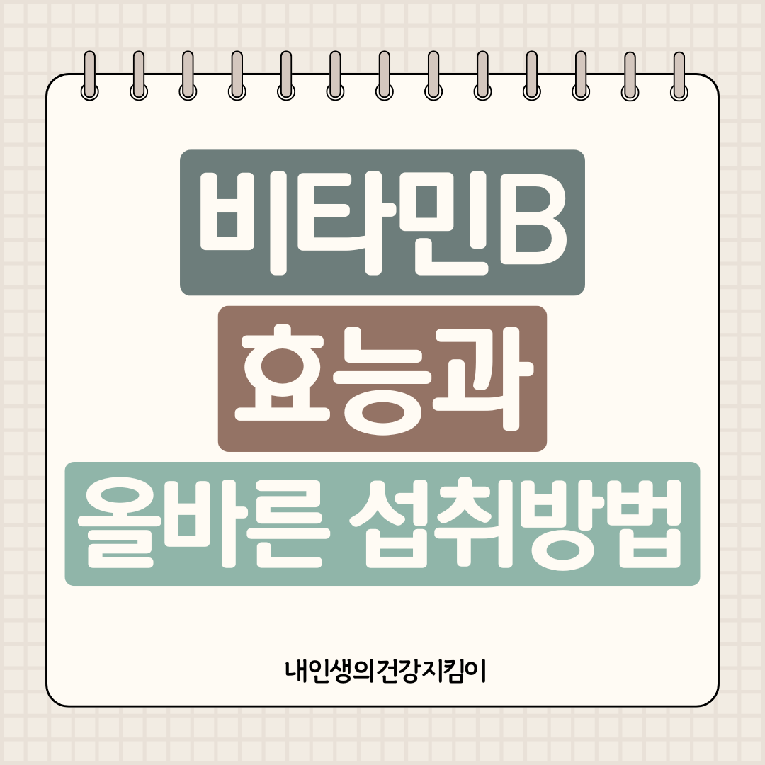 비타민 B 효능과 올바른 섭취방법