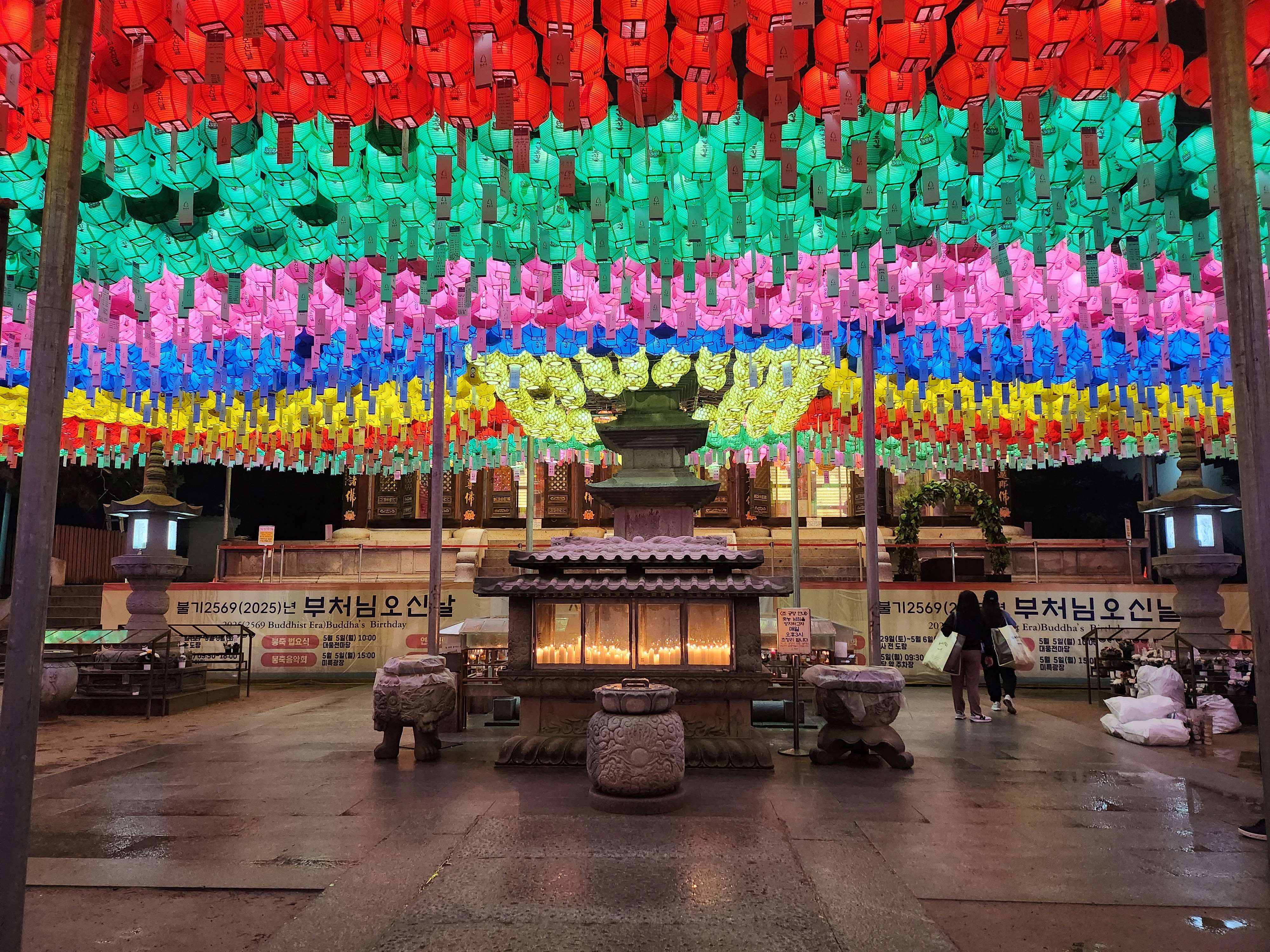 2025. 4. 19. 봉은사 연등제 야경 산책 후기 (겹벚꽃, 라일락, 홍매화 개화상황 포함)