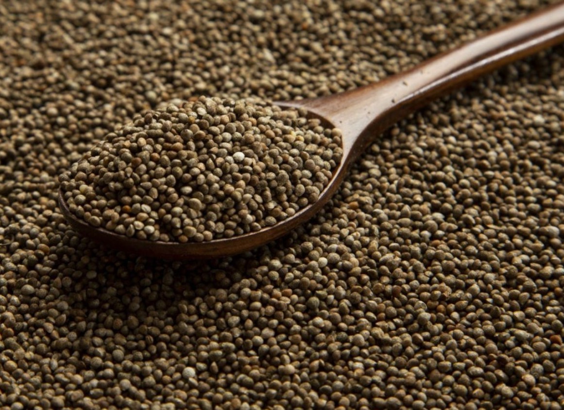 이름도 비슷하지만, 속은 전혀 다른 씨앗 이야기 : 참깨와 들깨