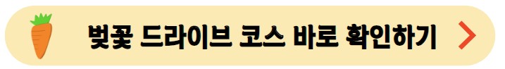 벚꽃-드라이브-명소-확인하기