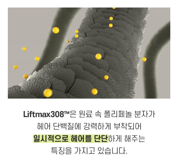 모발을-확대하여-설명하는-사진입니다.