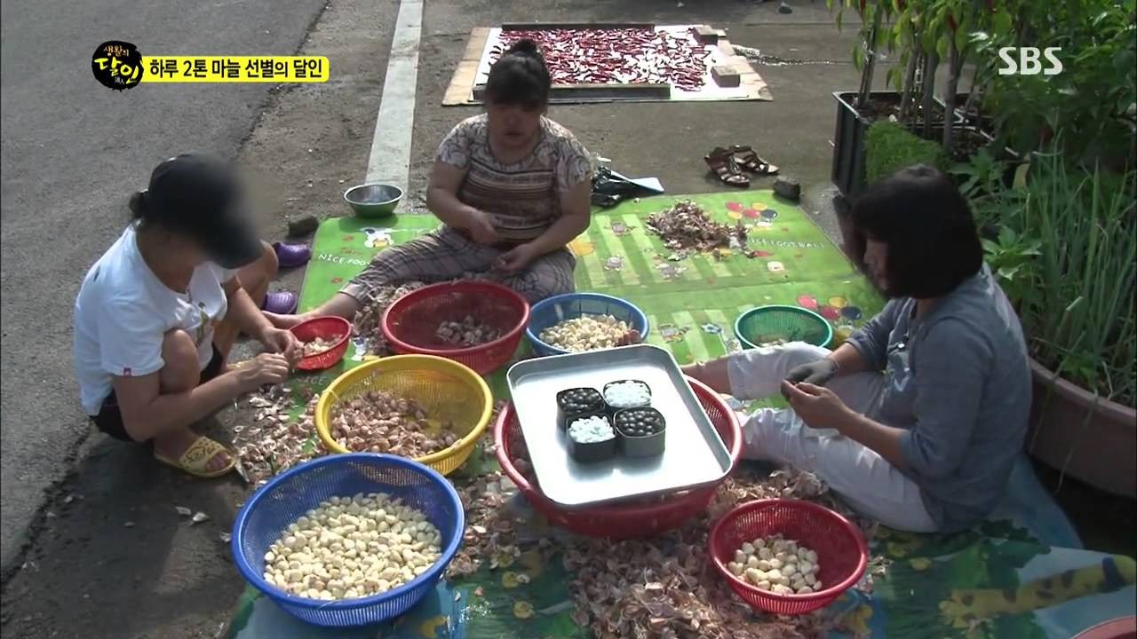 생활의 달인 지역 체험 활동 장면