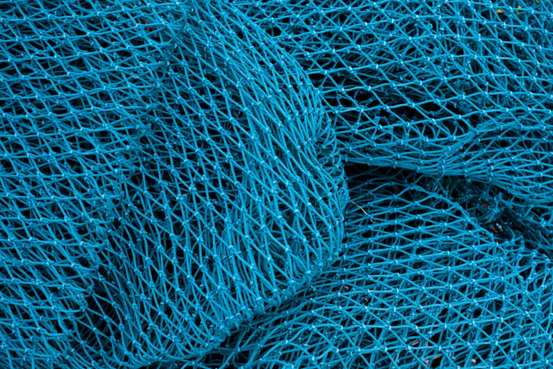 Laundry Net (세탁망)