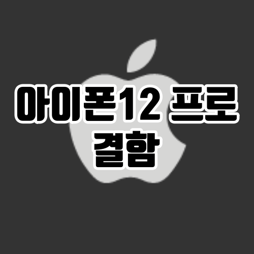 아이폰 12 프로 결함