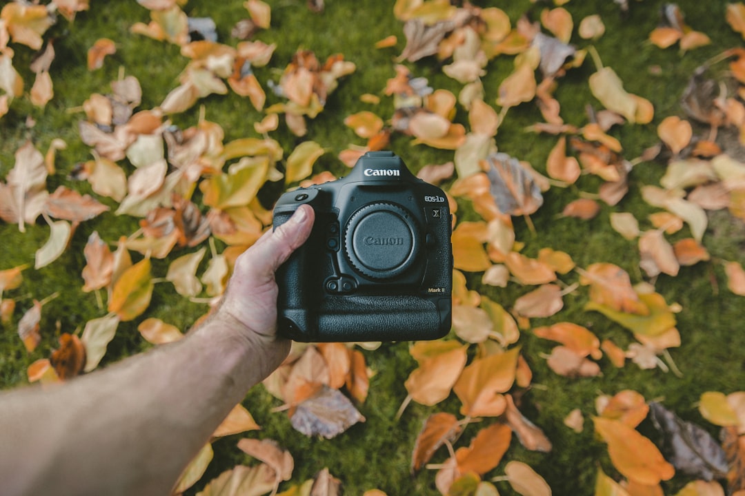Canon