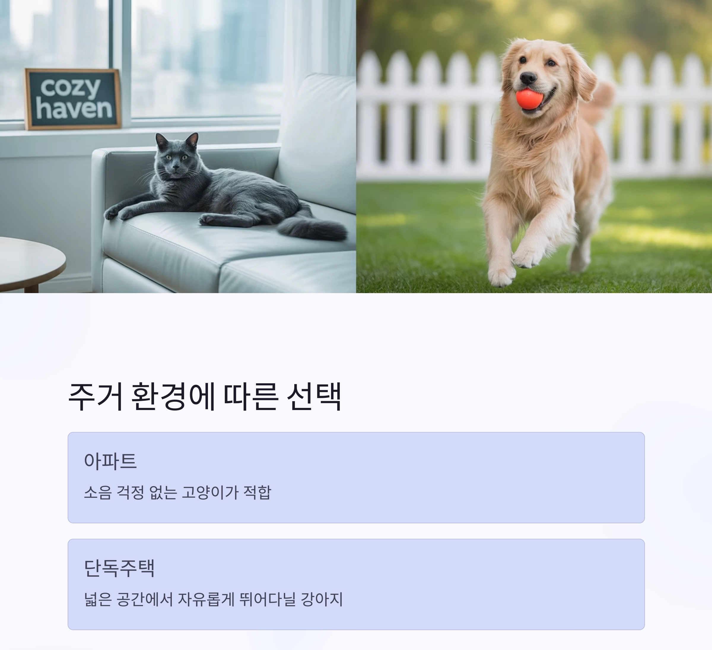 강아지와 고양이, 가족 맞이에 더 좋은 반려동물은 누구일까?